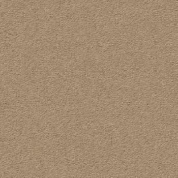 Vorwerk Modena 8H94 Teppichboden – Draufsicht auf die 100 m² Großrolle mit robuster Objektstruktur